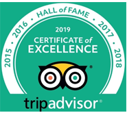 award 2019 Certificate of Excellence Hall of Fame